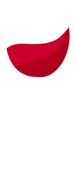 Logo 2 - Les Crus des Vignerons à Auray Logo 2 - Les Crus des Vignerons à Auray
